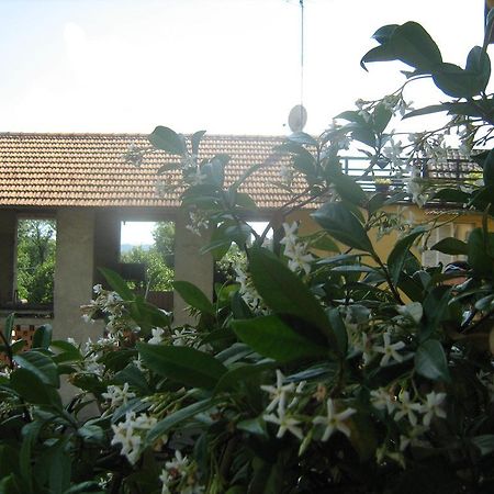 Fattoria Del Pino Bed and Breakfast Orta San Giulio Exterior foto