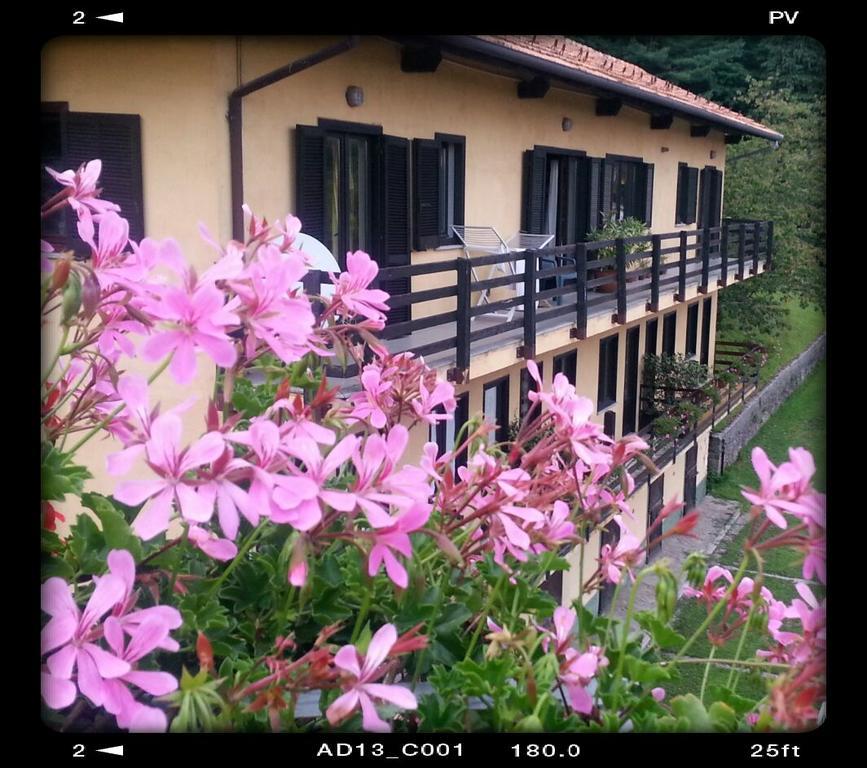 Fattoria Del Pino Bed and Breakfast Orta San Giulio Exterior foto